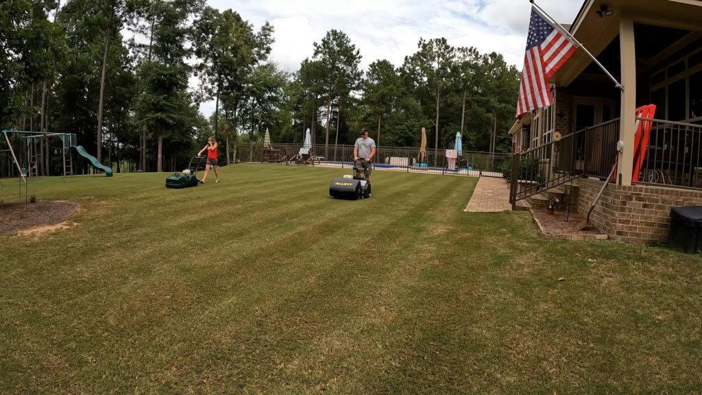 Dark Green Bermuda Grass Get a dark green Bermuda lawn