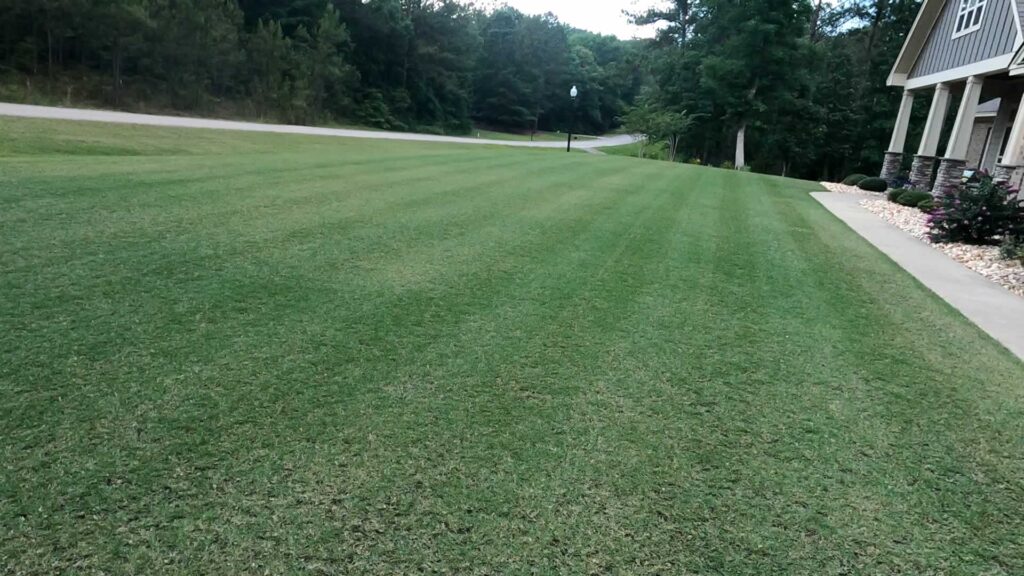 1 week post aeration