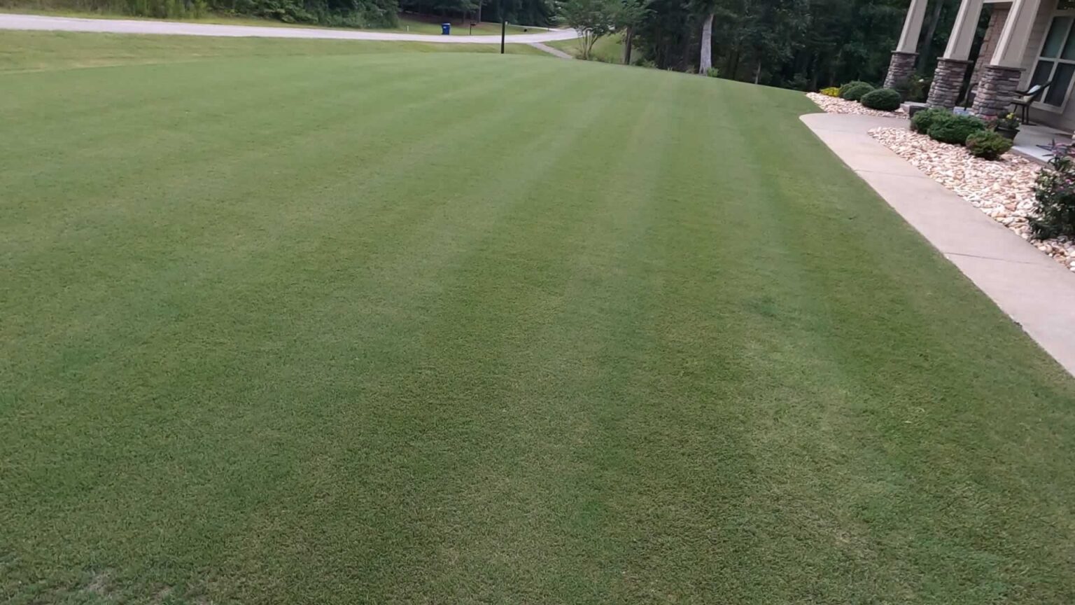 Best Lawn Fertilizer for Bermuda